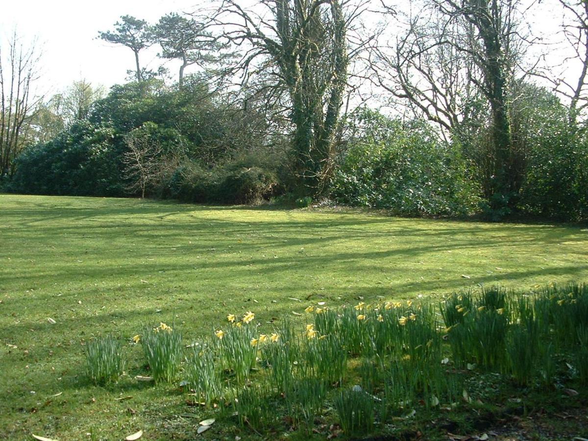 Oak Lodge Llanteg Bagian luar foto